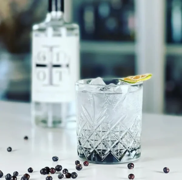 Glas Premium Dry Gin O.T. mit Tonic Water